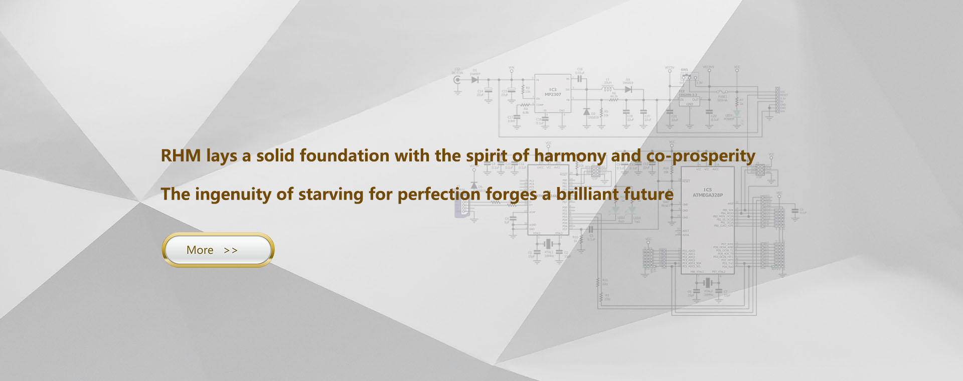 RHM Semiconductor RHM Semiconductor